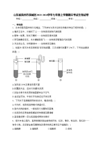 山东省滨州市滨城区2023-2024学年七年级上学期期末考试生物试卷(含答案)