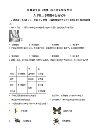 河南省平顶山市鲁山县2023-2024学年八年级上学期期中生物试题（原卷版+解析版）