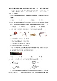 04，河南省郑州市惠济区2023-2024学年八年级上学期期末生物试卷