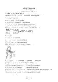 山东省禹城市李屯乡中学2023-2024学年八年级下学期开学检测生物试题