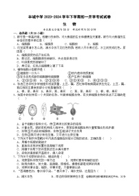 江西省丰城中学2023-2024学年七年级下学期开学生物试题