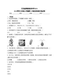 江苏省泗阳桃州中学2023-2024学年七年级上学期第二次阶段检测生物试卷(含答案)