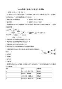 2023年湖北省随州市中考生物试卷（含详细答案解析）