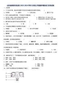 山东省淄博市张店区2023-2024学年七年级上学期期中模拟练习生物试题