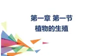 初中生物人教版 (新课标)八年级下册第七单元 生物圈中生命的延续和发展第一章 生物的生殖和发育第一节 植物的生殖课文ppt课件