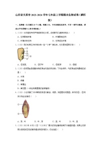 山西省太原市2023-2024学年七年级上学期期末生物试卷