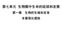 初中生物人教版 (新课标)八年级下册第一章 生物的生殖和发育综合与测试课文内容课件ppt