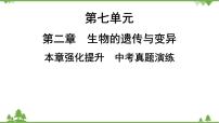 人教版生物八年级下册 第7单元  第2章  本章强化提升  中考真题演练习题课件