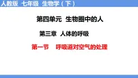 人教版 (新课标)七年级下册第一节 呼吸道对空气的处理完整版课件ppt