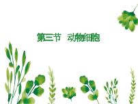 人教版 (新课标)七年级上册第三节 动物细胞教课ppt课件