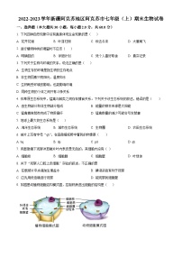 新疆阿克苏地区阿克苏市2022-2023学年七年级上学期期末生物试题（原卷版+解析版）