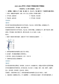 湖南省衡阳市衡阳县井头镇大云中学2023-2024学年八年级下学期开学测试生物试题