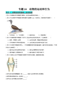 专题10 动物的运动和行为-中考生物真题分项汇编（全国通用）（第2期）