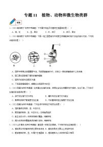 专题11 植物、动物和微生物类群-中考生物真题分项汇编（全国通用）（第03期）