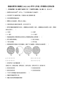 福建省莆田市城厢区2022-2023学年七年级上学期期末生物试题（原卷版+解析版）