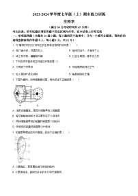 辽宁省沈阳市皇姑区2023-2024学年七年级上学期期末生物能力训练（原卷版+解析版）