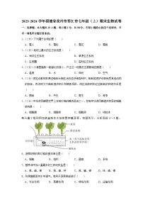 2023-2024学年福建省泉州市晋江市七年级（上）期末生物试卷