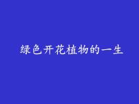 2024年中考生物专题复习课件：绿色开花植物的一生