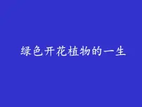2024年中考生物专题复习课件：绿色开花植物的一生