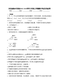 河北省衡水市景县2023-2024学年七年级上学期期末考试生物试卷(含答案)