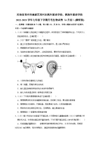 31，河南省郑州市高新区郑州东枫外国语学校、枫杨外国语学校2022-2023学年七年级下学期月考生物试卷（6月份）