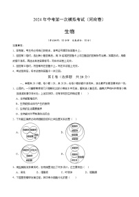 2024年初三中考第一次模拟考试试题：生物（河南卷）（考试版A4）