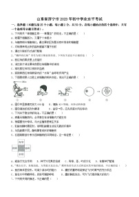 2023年山东省济宁市生物中考真题（含答案）