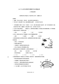 广西南宁市第三中学2022～2023学年八年级下学期期中考试生物试卷