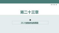 苏科版八年级下册第3节 生物进化的原因授课课件ppt