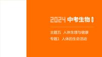 主题5 人体的生命活动--2024年中考 初中生物 一轮复习课件