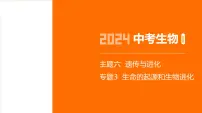 主题6 遗传与进化--2024年中考 初中生物 一轮复习课件