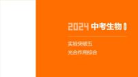 实验突破--2024年中考 初中生物 一轮复习课件