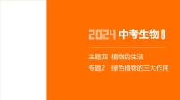 主题4 植物的生活--2024年中考 北京版初中生物 一轮复习课件