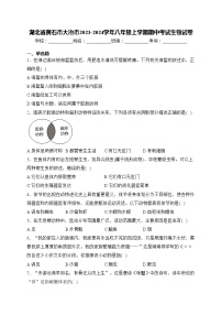 湖北省黄石市大冶市2023-2024学年八年级上学期期中考试生物试卷(含答案)