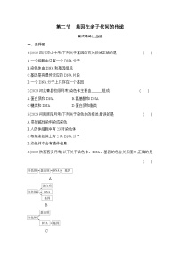 初中生物人教版 (新课标)八年级下册第七单元 生物圈中生命的延续和发展第二章  生物的遗传和变异第二节  基因在亲子代间的传递同步达标检测题