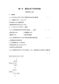 初中生物人教版 (新课标)八年级下册第七单元 生物圈中生命的延续和发展第二章 生物的遗传和变异第二节 基因在亲子代间的传递同步达标检测题