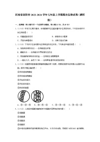 16，河南省洛阳市2023-2024学年七年级上学期期末生物试卷