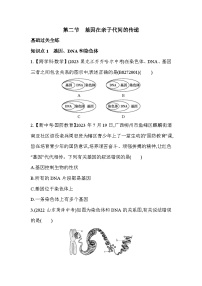 初中生物人教版 (新课标)八年级下册第二节  基因在亲子代间的传递测试题