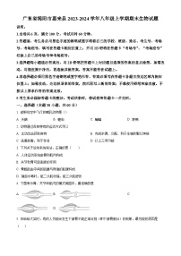 广东省揭阳市惠来县2023-2024学年八年级上学期期末生物试题（原卷版+解析版）