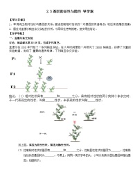 初中生物人教版 (新课标)八年级下册第三节  基因的显性和隐性学案