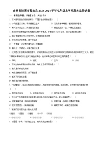 吉林省松原市乾安县2023-2024学年七年级上学期期末生物试题（原卷版+解析版）