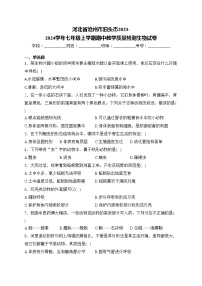 河北省沧州市泊头市2023-2024学年七年级上学期期中教学质量检测生物试卷(含答案)