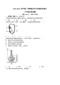 山东省德州市夏津县2023-2024学年八年级上学期期末生物试题