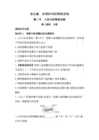 初中生物北京版七年级下册第五章 生物体的物质运输第二节 人体内的物质运输复习练习题