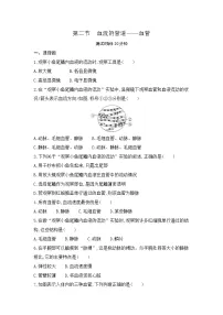 人教版 (新课标)第四单元 生物圈中的人第四章 人体内物质的运输第二节 血流的管道──血管当堂检测题