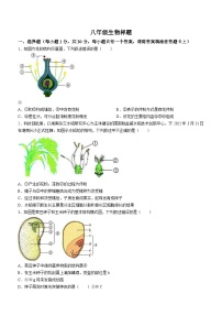 山东省菏泽市定陶区2023-2024学年八年级上学期期末生物试题