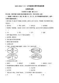 辽宁省阜新市细河区2023-2024学年七年级上学期期末生物试题（原卷版+解析版）