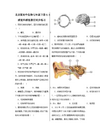 生物七年级下册第三节 感觉和感觉器官测试题