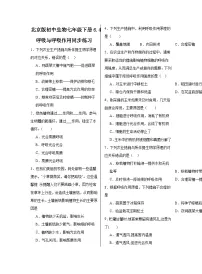 初中生物北京版七年级下册第四节 呼吸与呼吸作用课堂检测