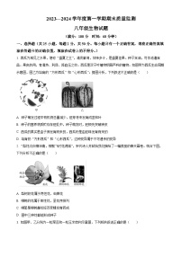 山东省济宁市兖州区2023-2024学年八年级上学期期末生物试题（原卷版+解析版）